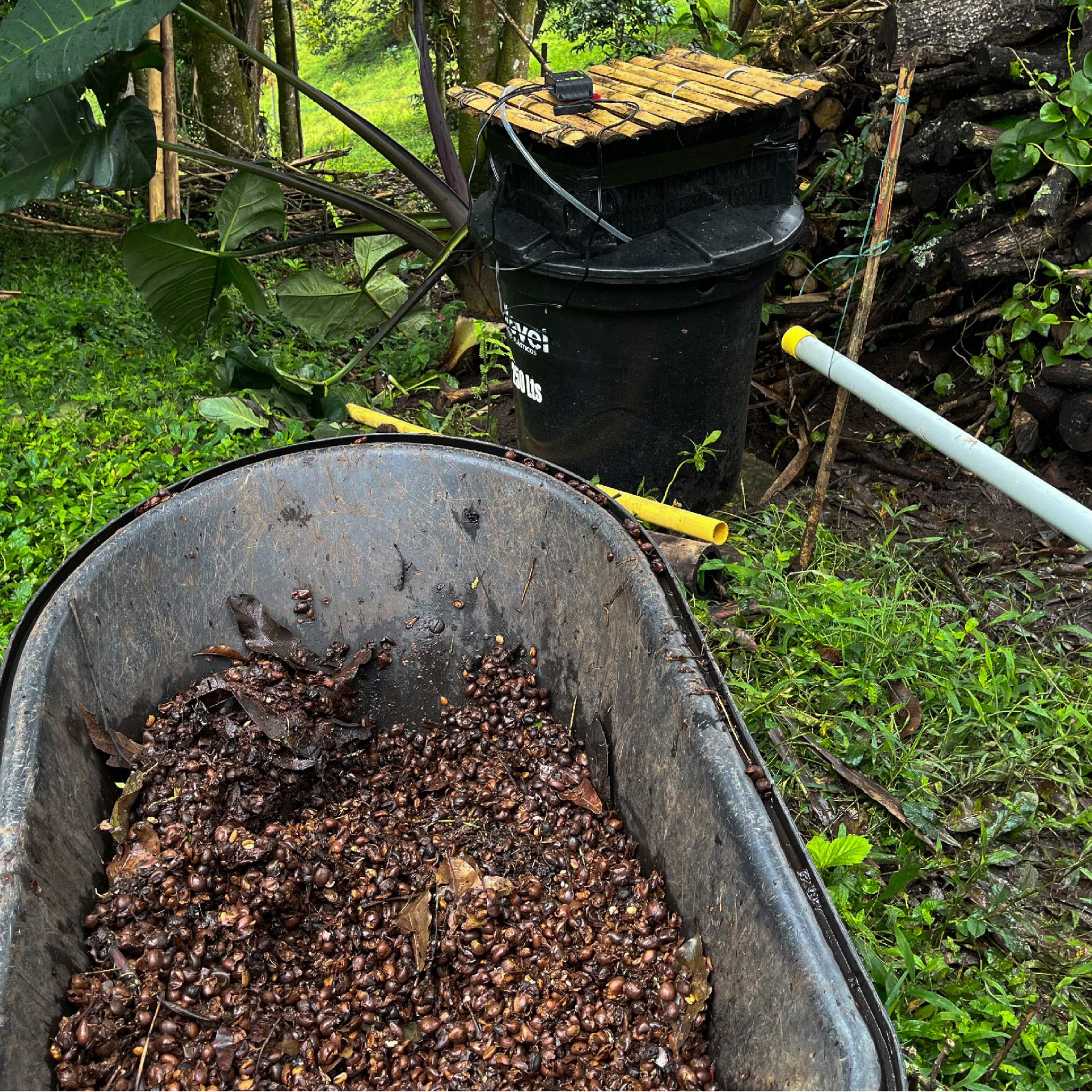 On-site BioBrew vermifiltration system processing coffee pulp and wastewater at a smallholder coffee farm.